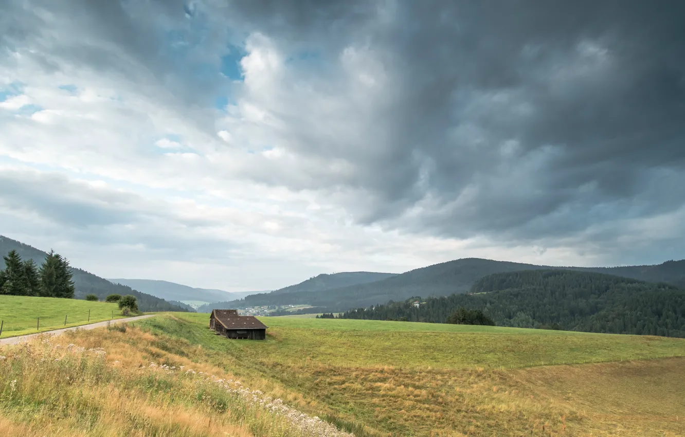 Photo wallpaper road, field, forest, summer, the sky, clouds, mountains, nature