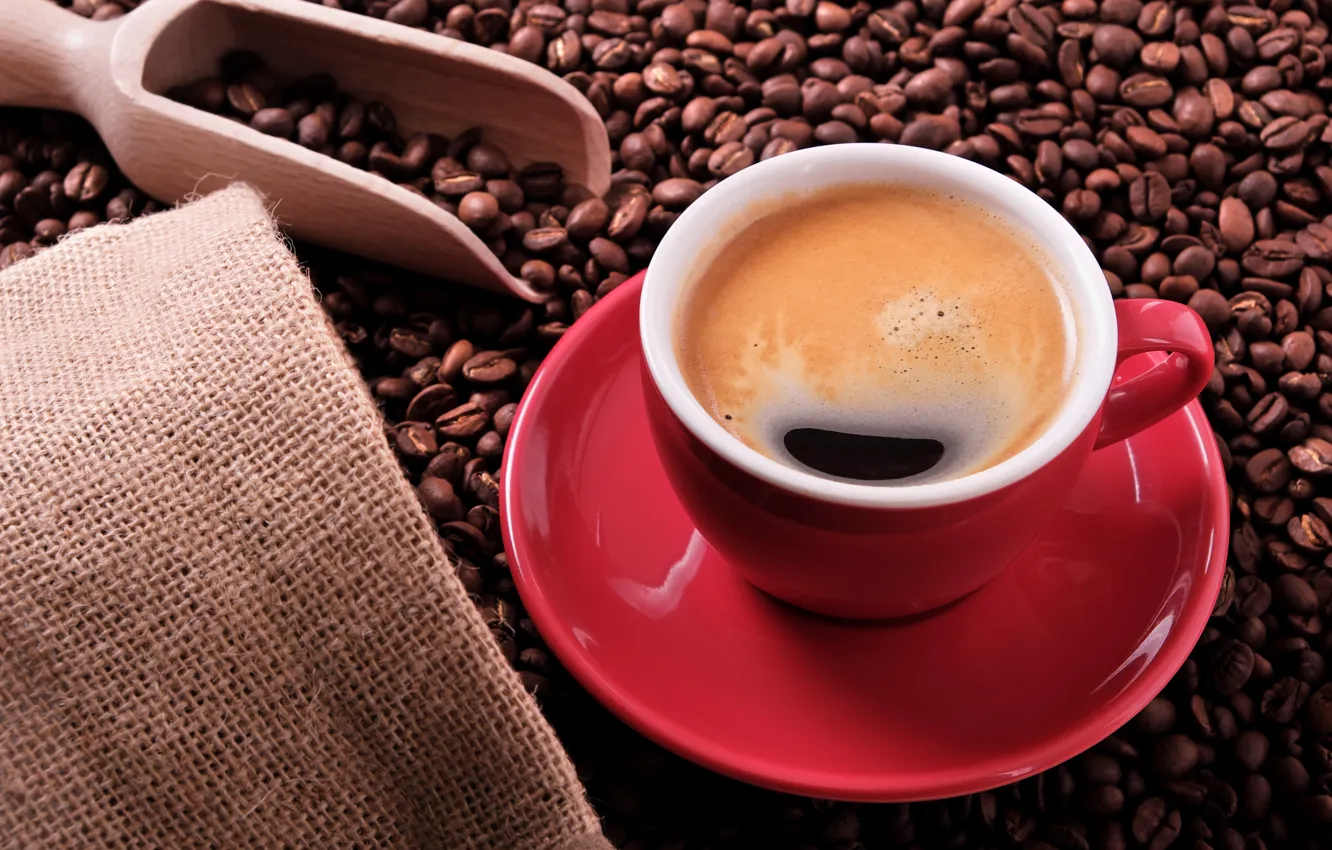 Photo wallpaper coffee beans, bag, blade, coffee