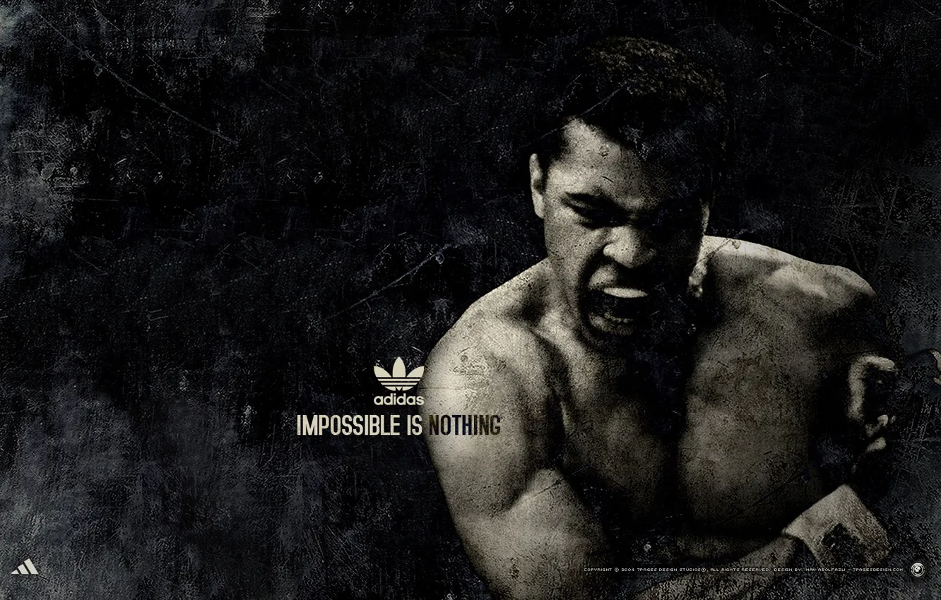 Photo wallpaper sport, Adidas, boxer, Muhammad Ali