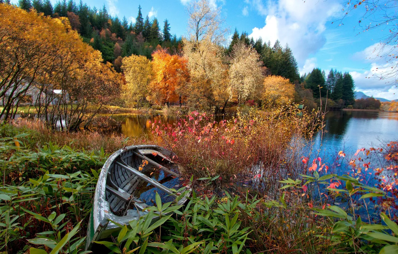 Photo wallpaper autumn, forest, the sky, trees, flowers, lake, river, boat