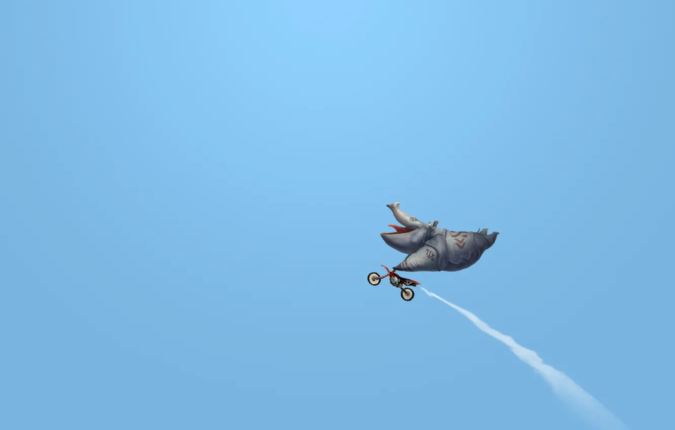 Photo wallpaper language, face, flight, smile, animal, technique, room, motorcycle