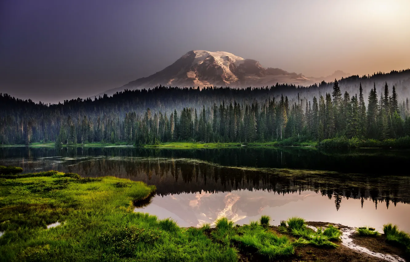 Photo wallpaper forest, mountains, lake