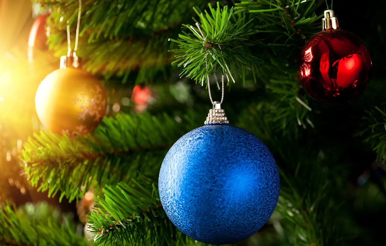 Photo wallpaper branches, blue, red, tree, ball, New Year, Christmas, gold