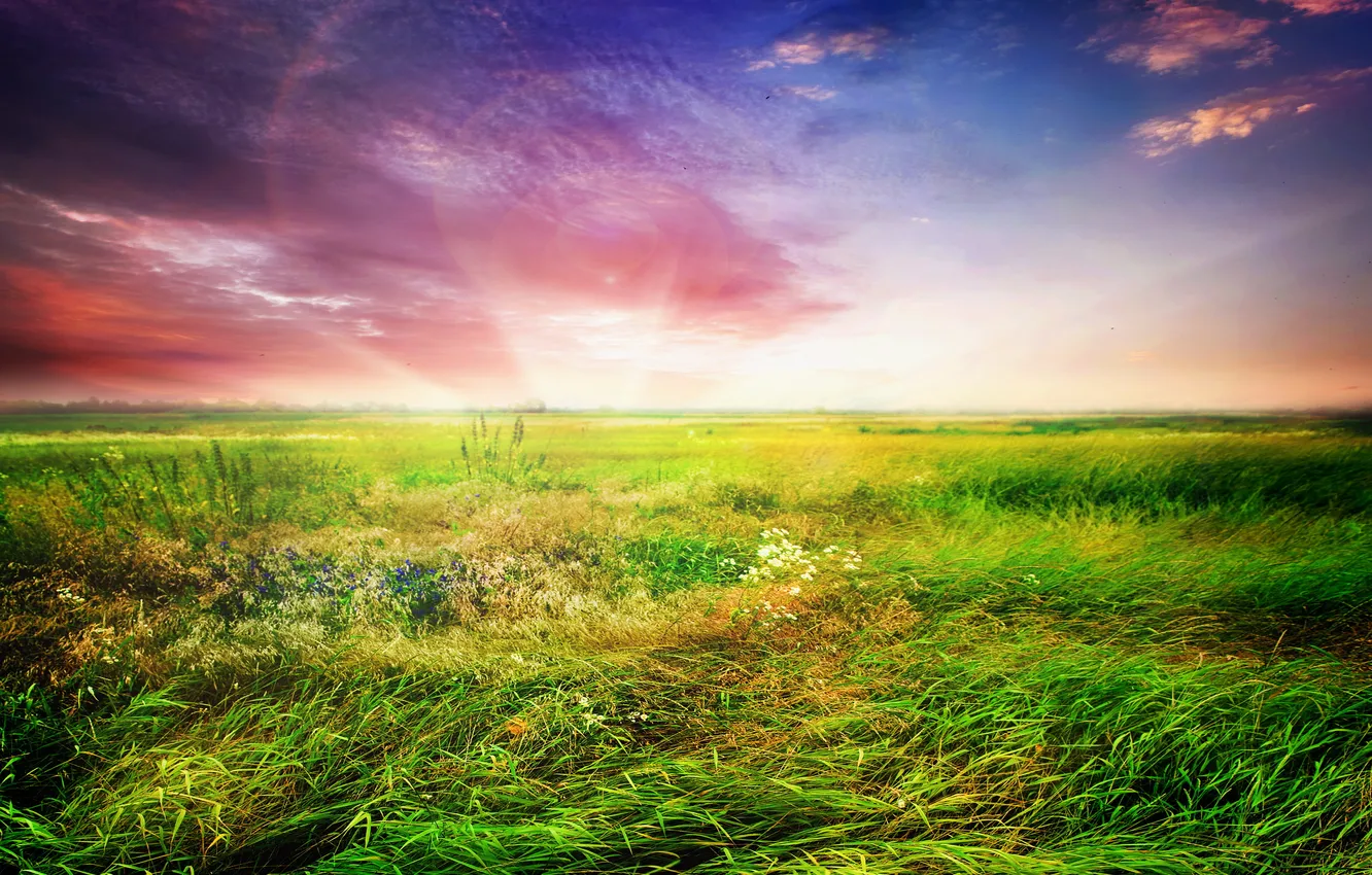 Photo wallpaper field, the sky, grass, sunset, sky, landscape, nature, sunset