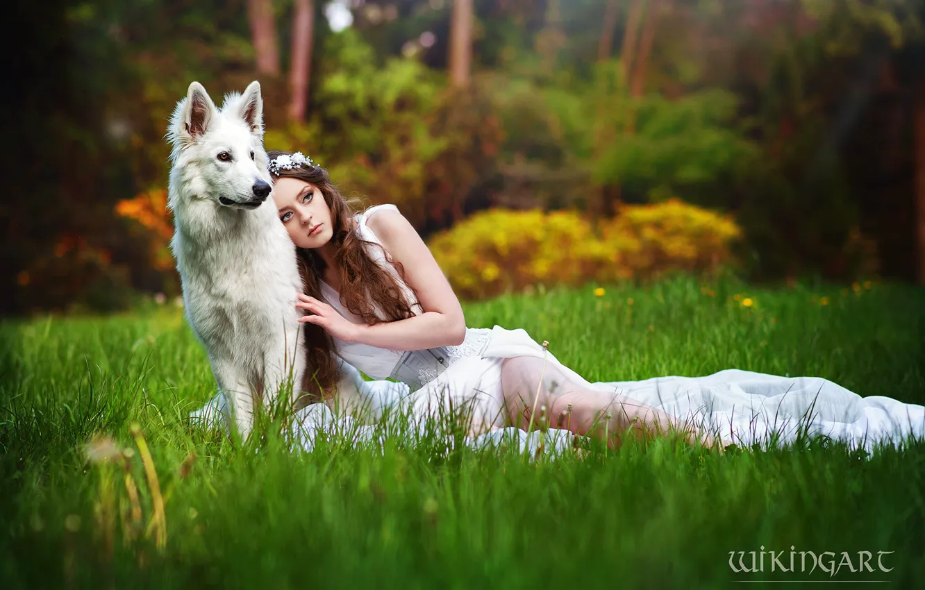 Photo wallpaper grass, girl, nature, pose, style, dog, makeup, costume