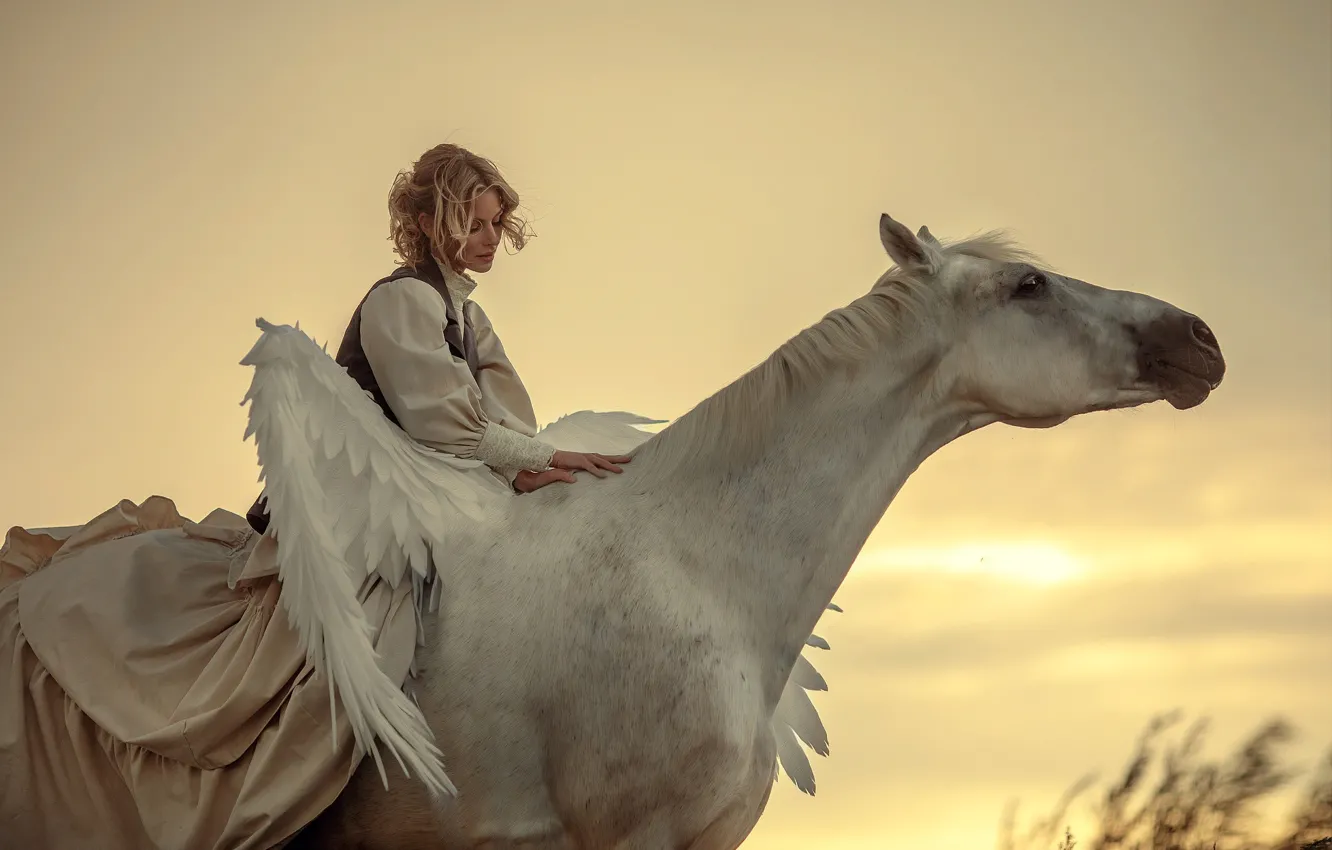 Photo wallpaper girl, animal, horse, wings, blonde, Pegasus, Annie Of Antikov