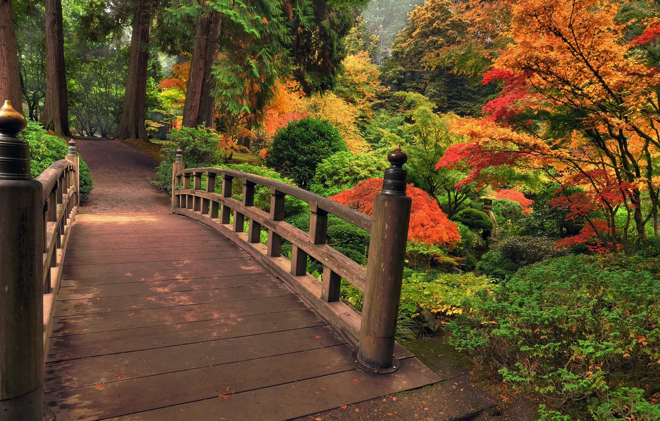Photo wallpaper autumn, leaves, trees, flowers, bridge, nature, Park, colors