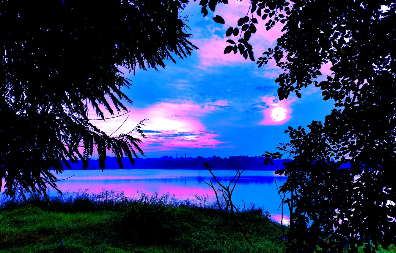 Photo wallpaper sky, trees, water, clouds, lake, morning, sun, bushes