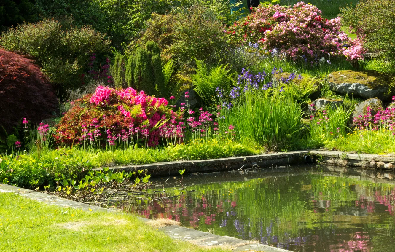 Photo wallpaper greens, flowers, pond, garden, UK, colorful, the bushes, Mount Pleasant gardens