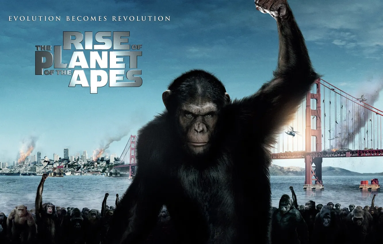 Photo wallpaper bridge, monkey, San Francisco, Rise of the Planet of the Apes, Rise of the planet …