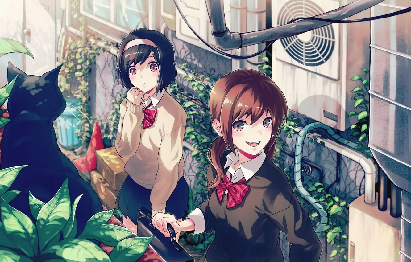 Photo wallpaper cat, girls, plants, anime, art, form, Schoolgirls, 40hara