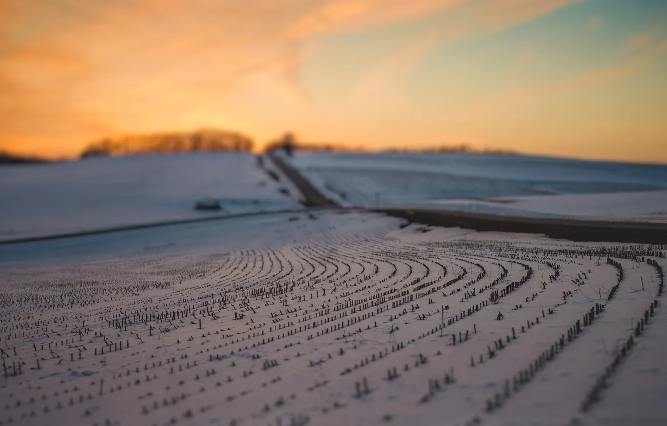 Photo wallpaper road, field, the sky, snow, sunset, the evening