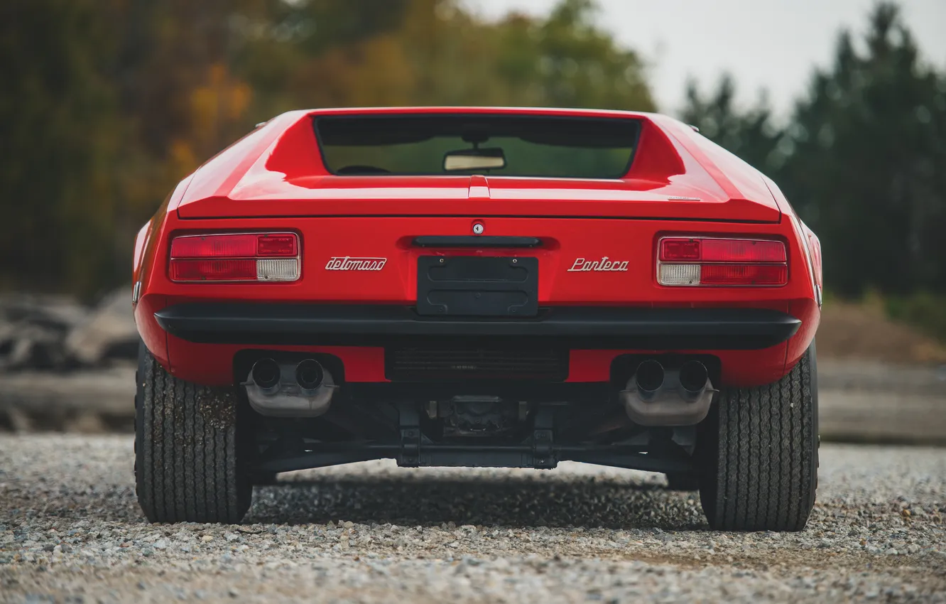 Photo wallpaper 1974, De Tomaso, Pantera, De Tomaso Pantera L