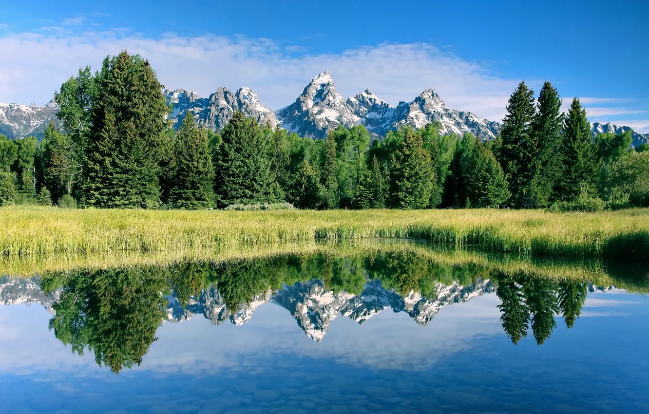 Photo wallpaper forest, the sky, grass, water, reflection, mountains, lake