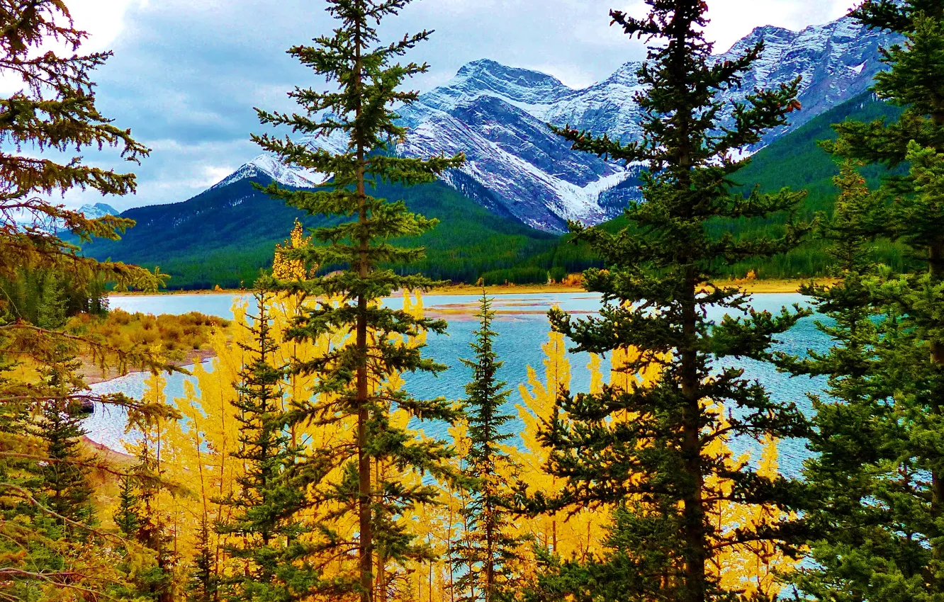 Photo wallpaper autumn, trees, mountains, lake, Albert, Canada at