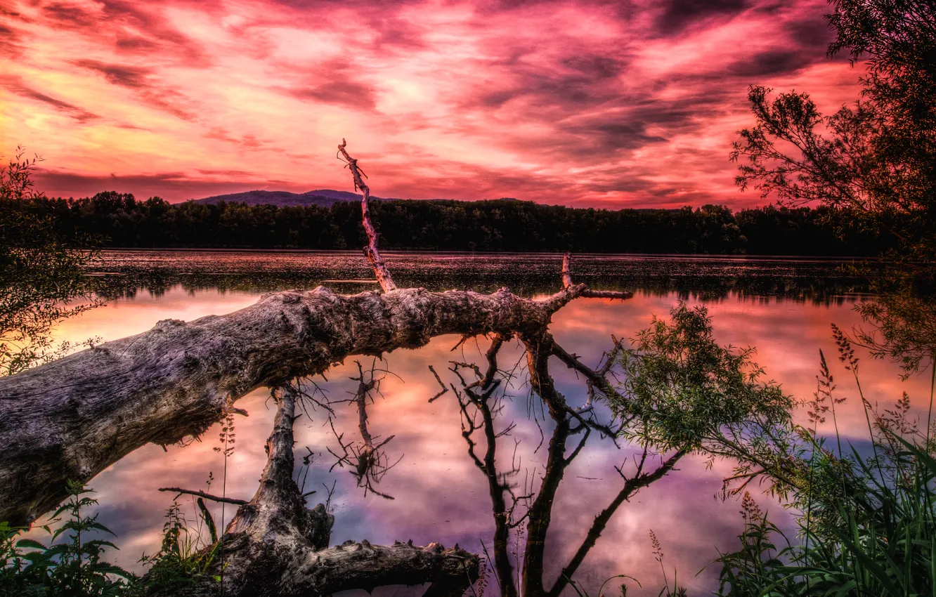 Photo wallpaper the sky, clouds, sunset, mountains, lake, tree