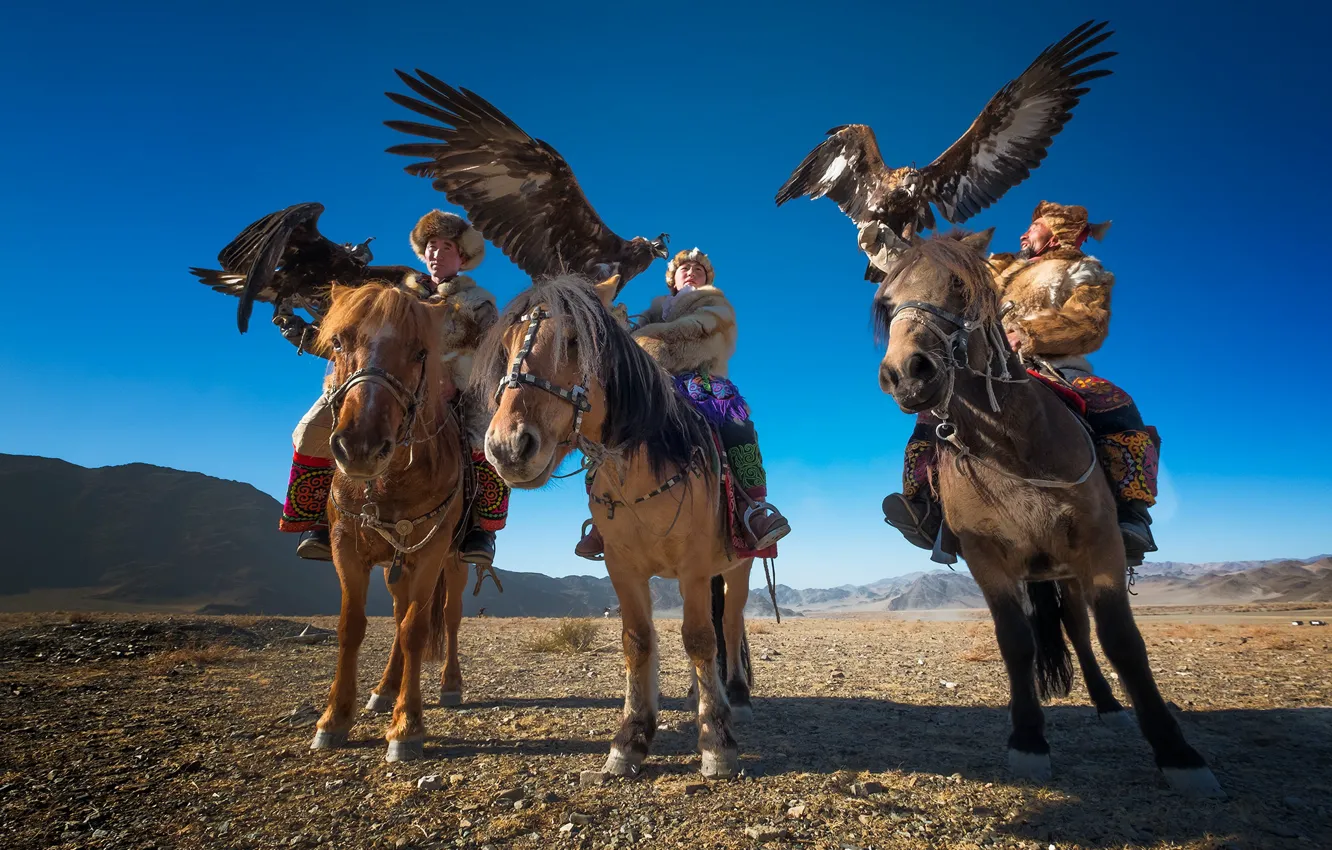 Photo wallpaper hunter, Mongolia, Holiday eagle