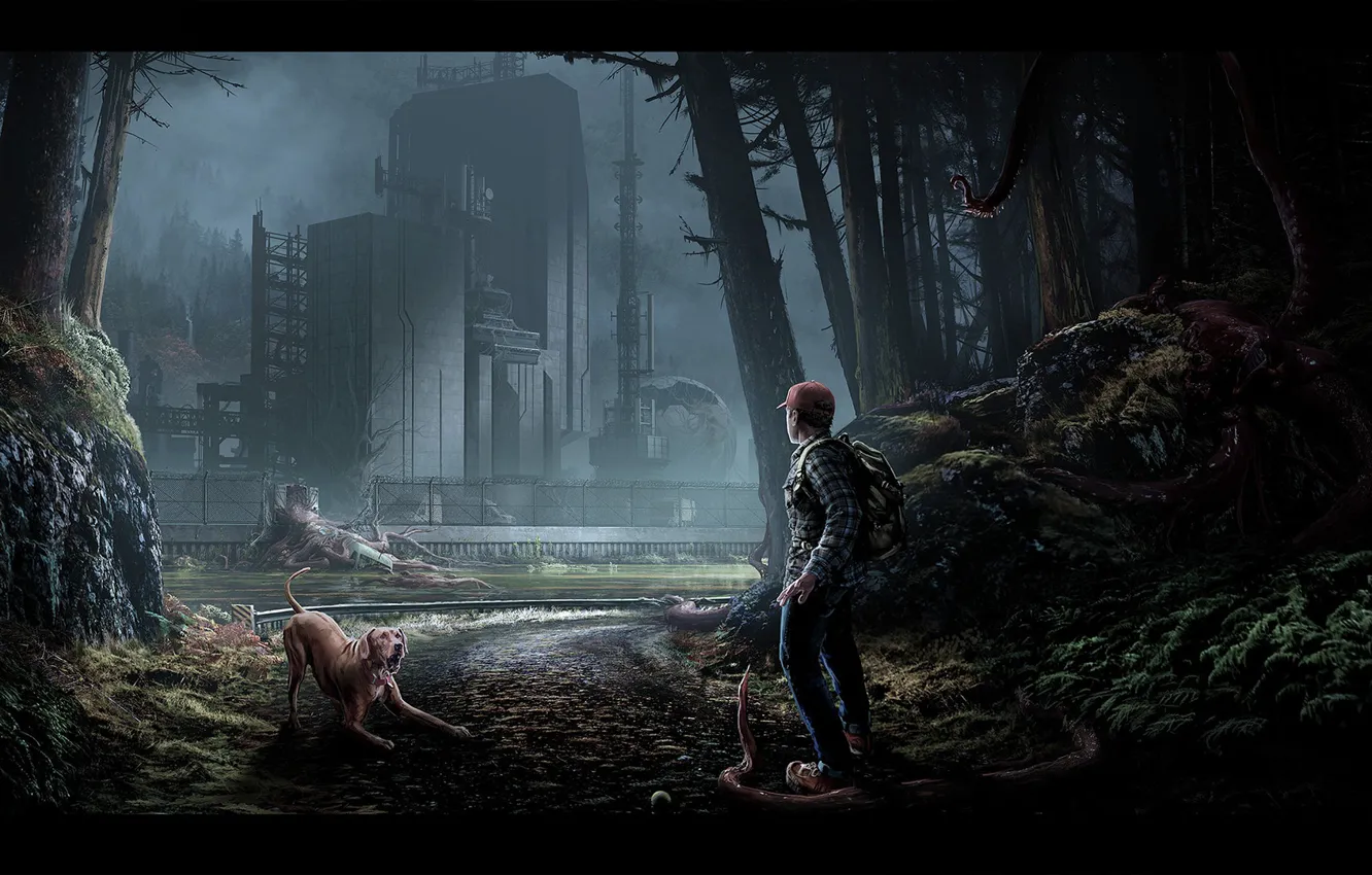 Photo wallpaper road, forest, dog, construction, THE LAB