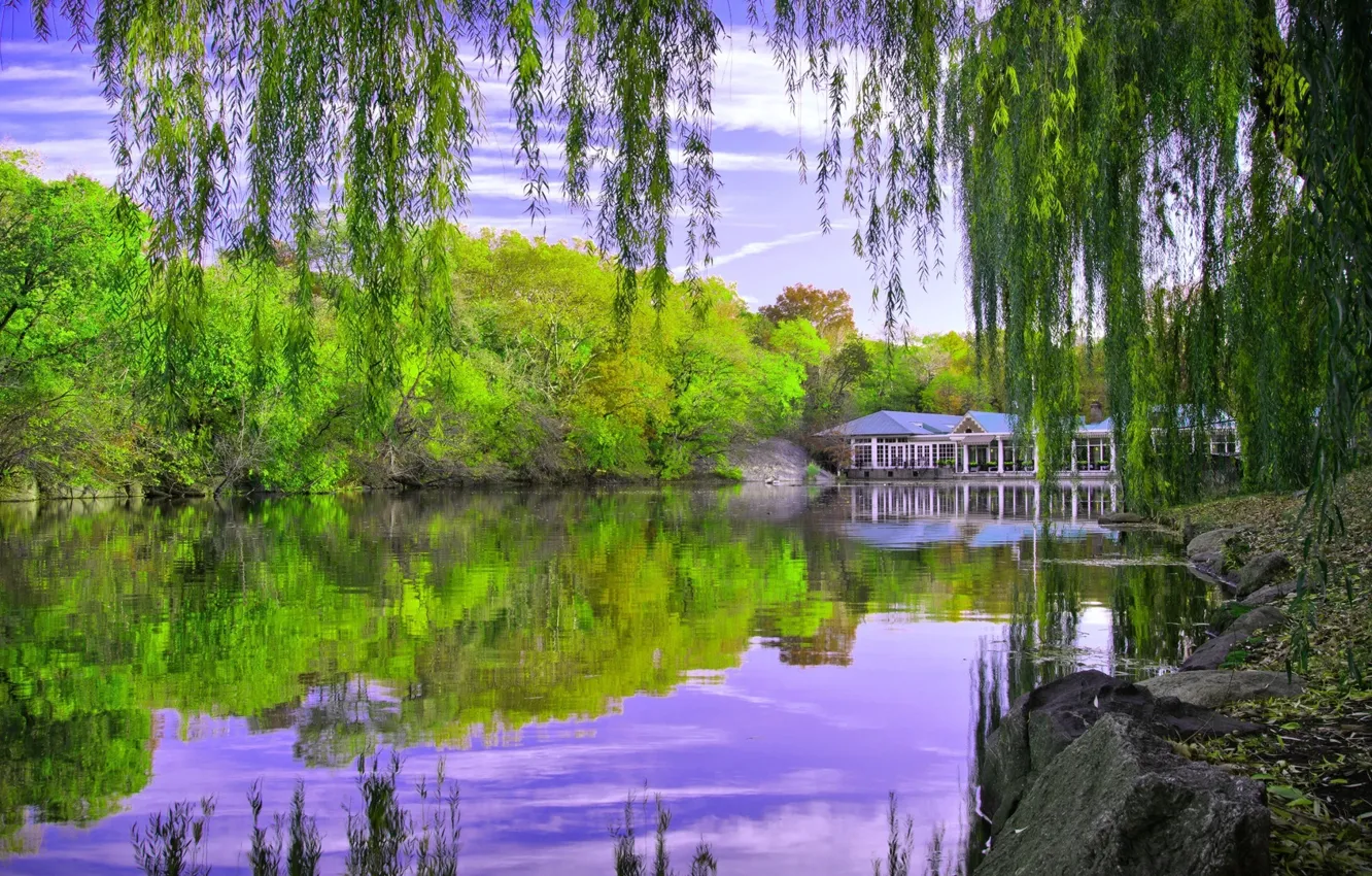 Photo wallpaper water, trees, lake