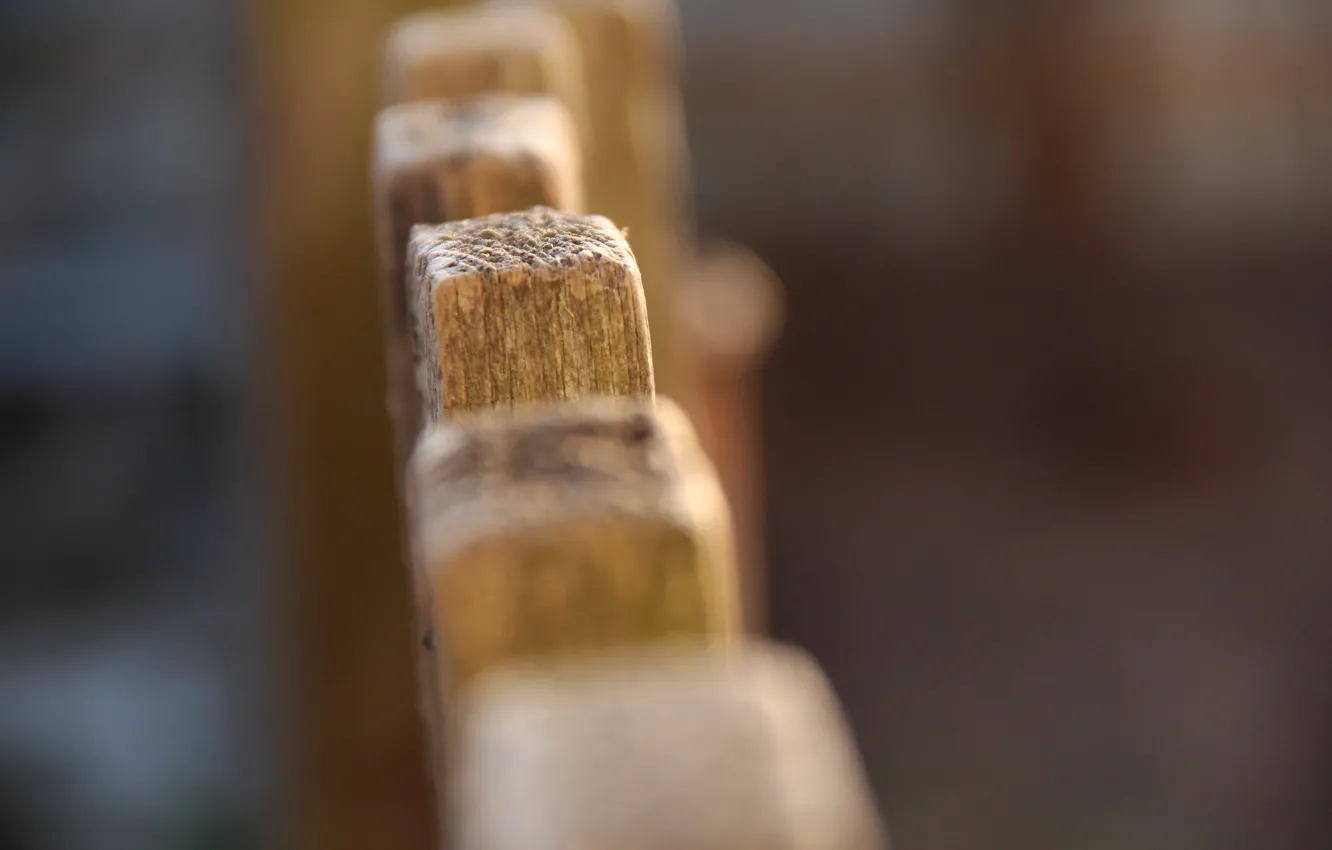 Photo wallpaper sunset, the fence, fence