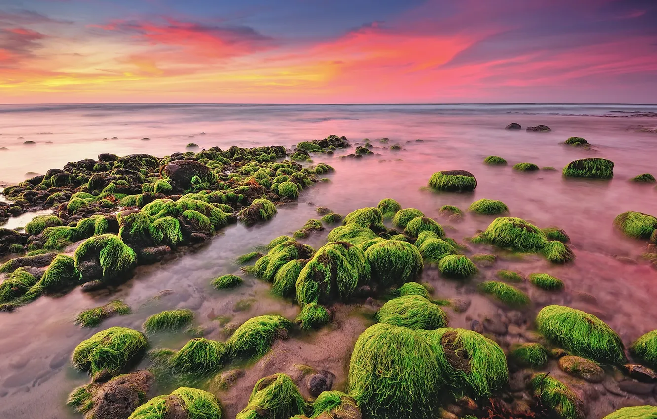 Photo wallpaper sea, clouds, stones, horizon, mucus, in the morning