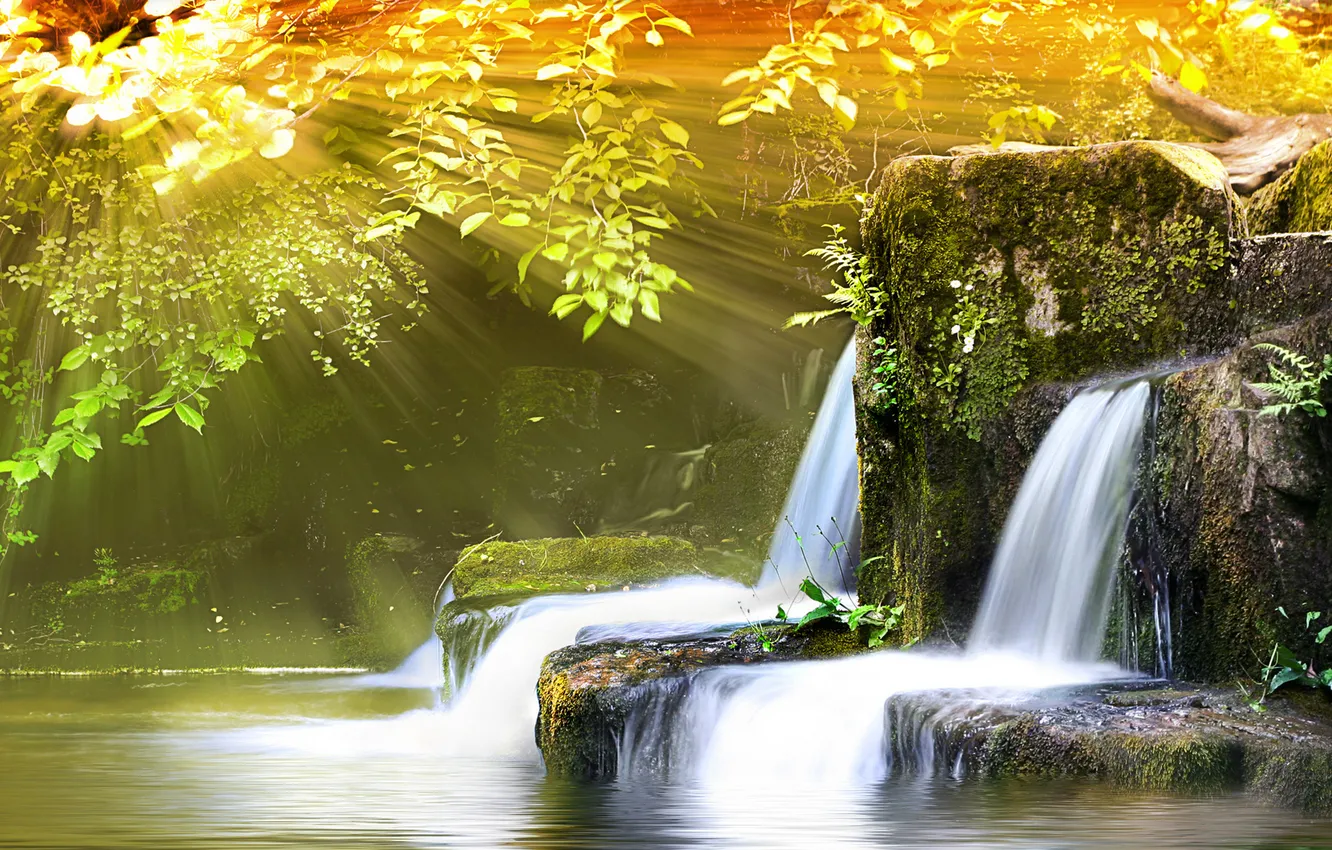 Photo wallpaper water, rays, light, nature, photo, Wallpaper