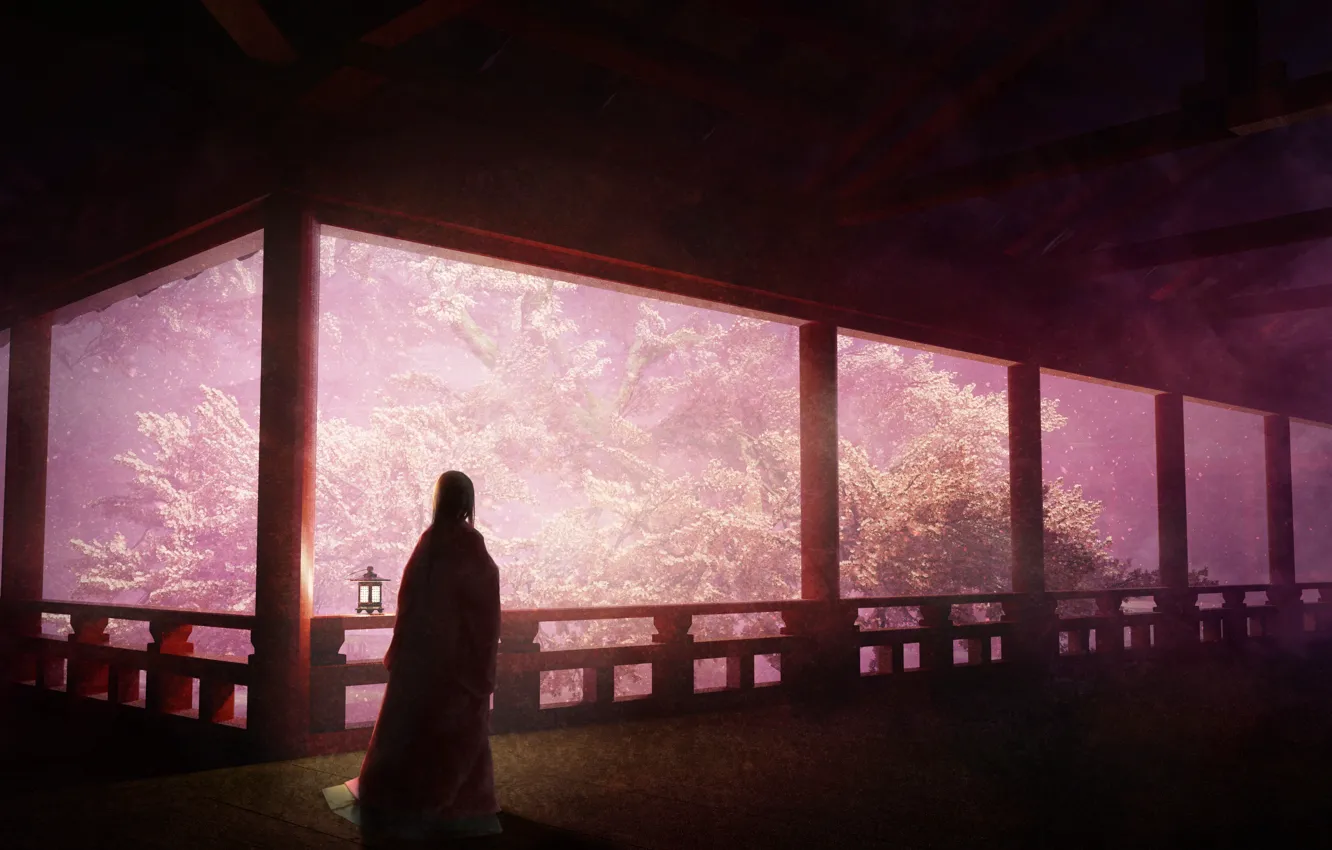 Photo wallpaper girl, spring, Sakura, veranda