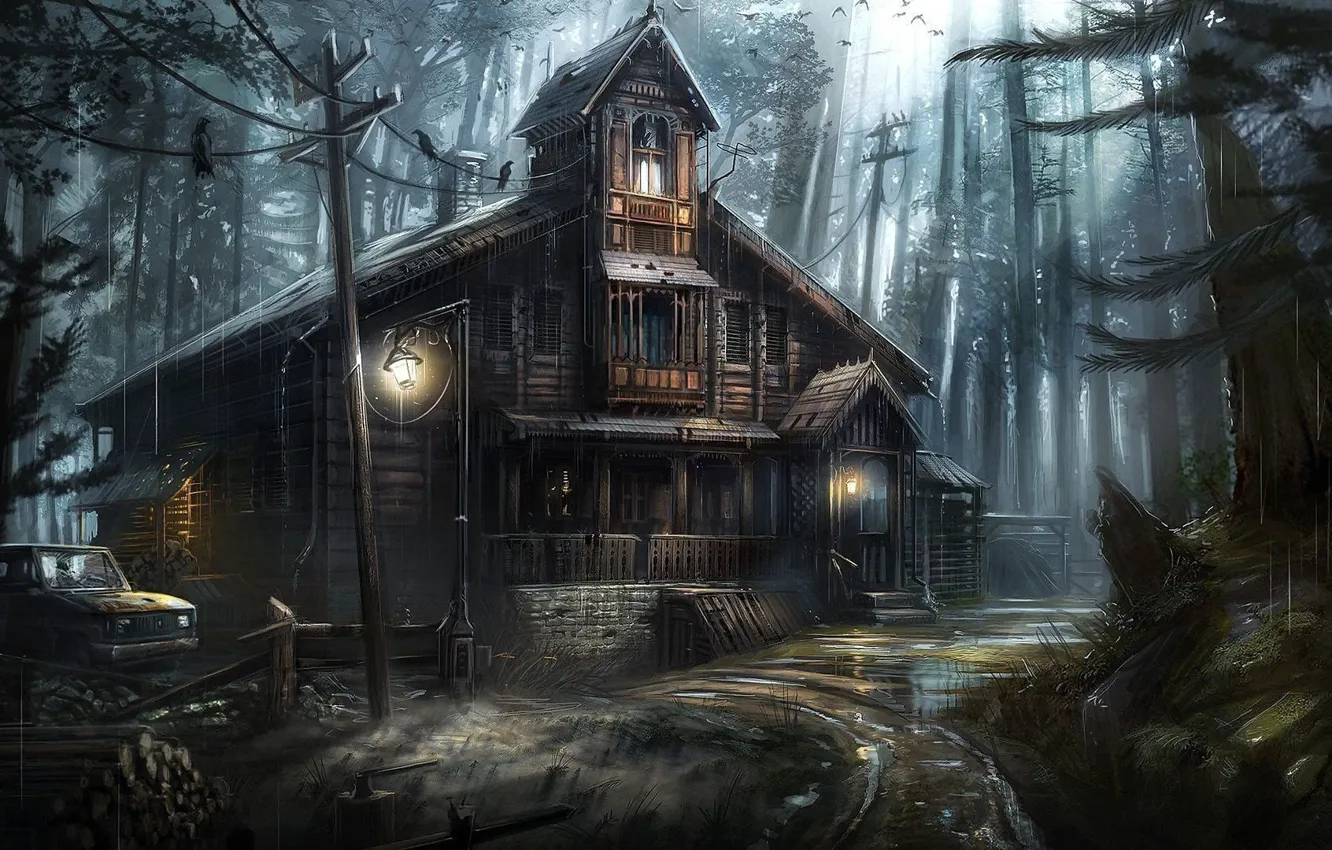 Photo wallpaper wire, home, ate, thicket, puddle, lights, crows, car