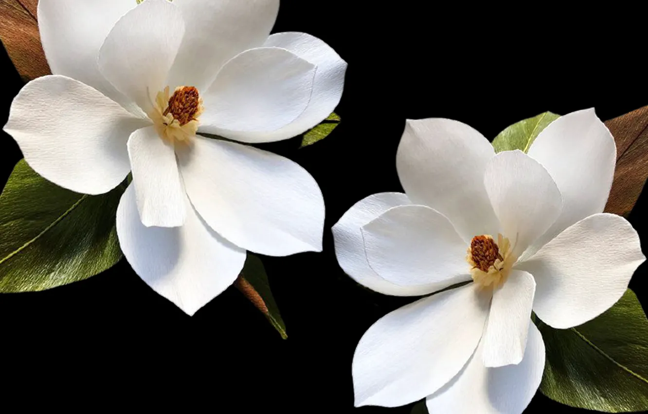 Photo wallpaper petals, decoration, pistils, stambs, folwers