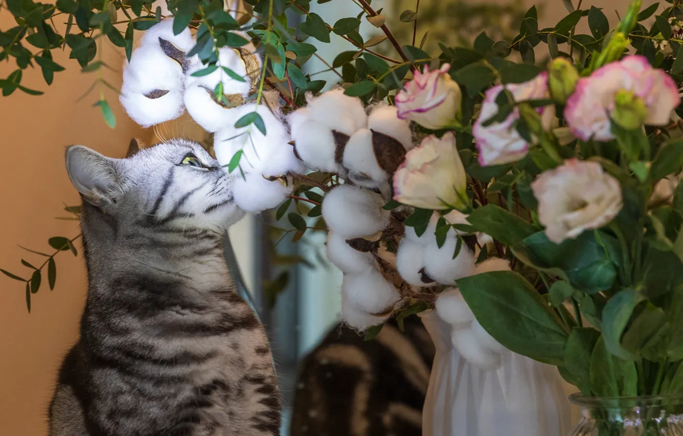 Photo wallpaper cat, cat, leaves, flowers, grey, bouquet, profile, white