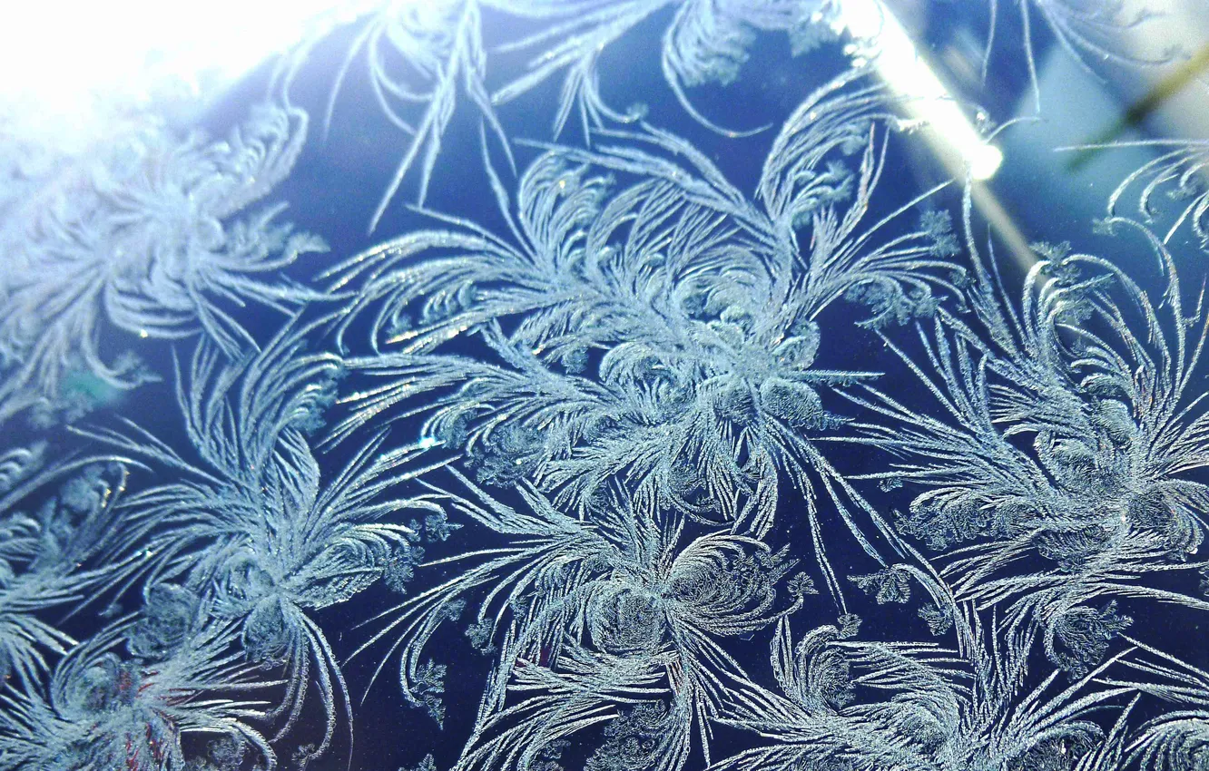 Photo wallpaper winter, frost, macro, frost, frost, patterns on the window