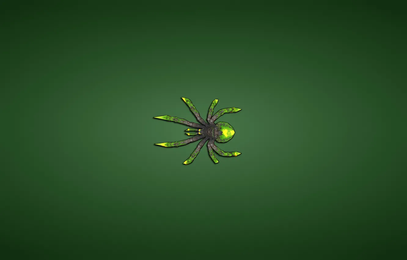 Photo wallpaper green, minimalism, spider, spider