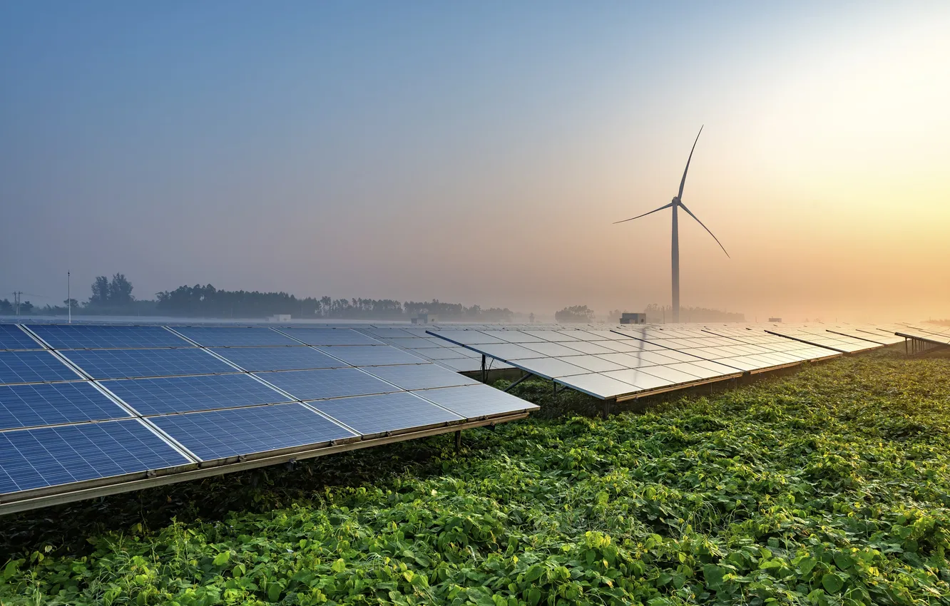 Photo wallpaper field, the sky, clouds, landscape, sunset, fog, plant, horizon