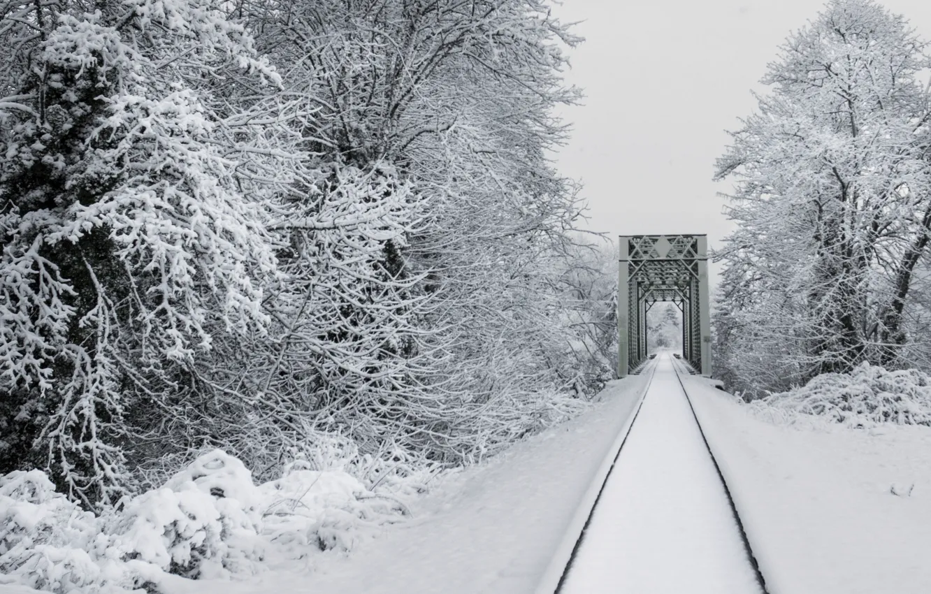 Photo wallpaper winter, snow, trees, nature, rails, railroad