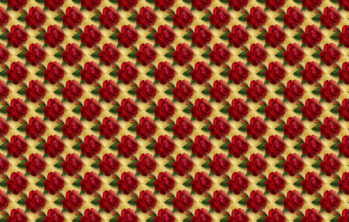 Photo wallpaper flower, rose, art, texture. background