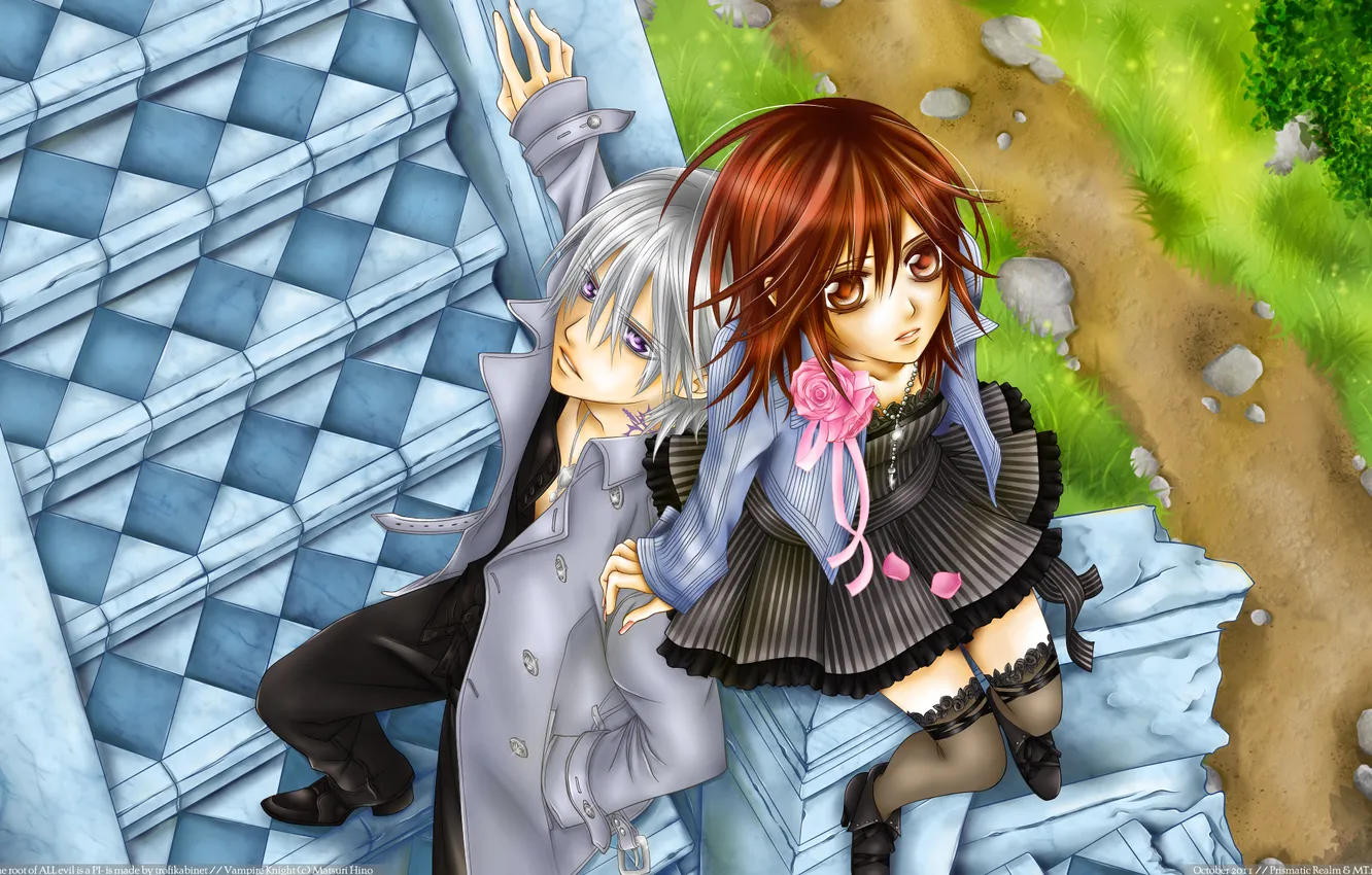Photo wallpaper anime, vampire knight, yuki, Zero