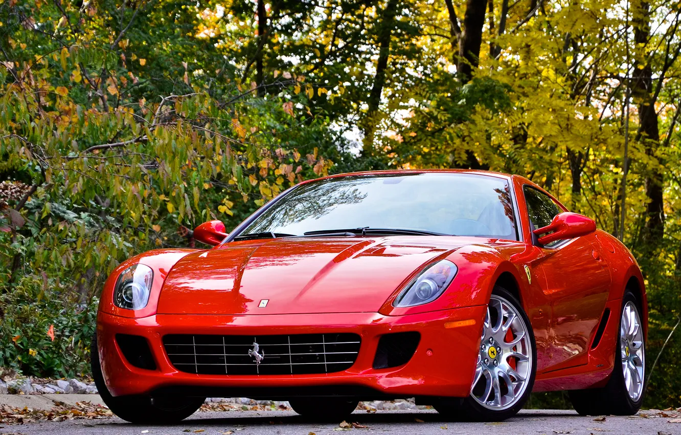 Photo wallpaper trees, red, Ferrari, red, Ferrari, GTB, 599, tree