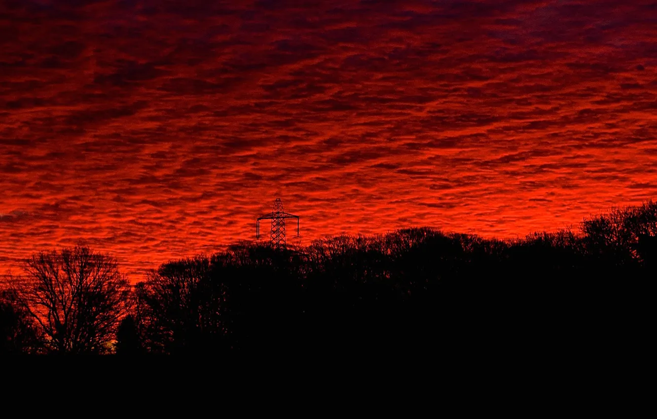Photo wallpaper the sky, clouds, trees, sunset, silhouette, panorama