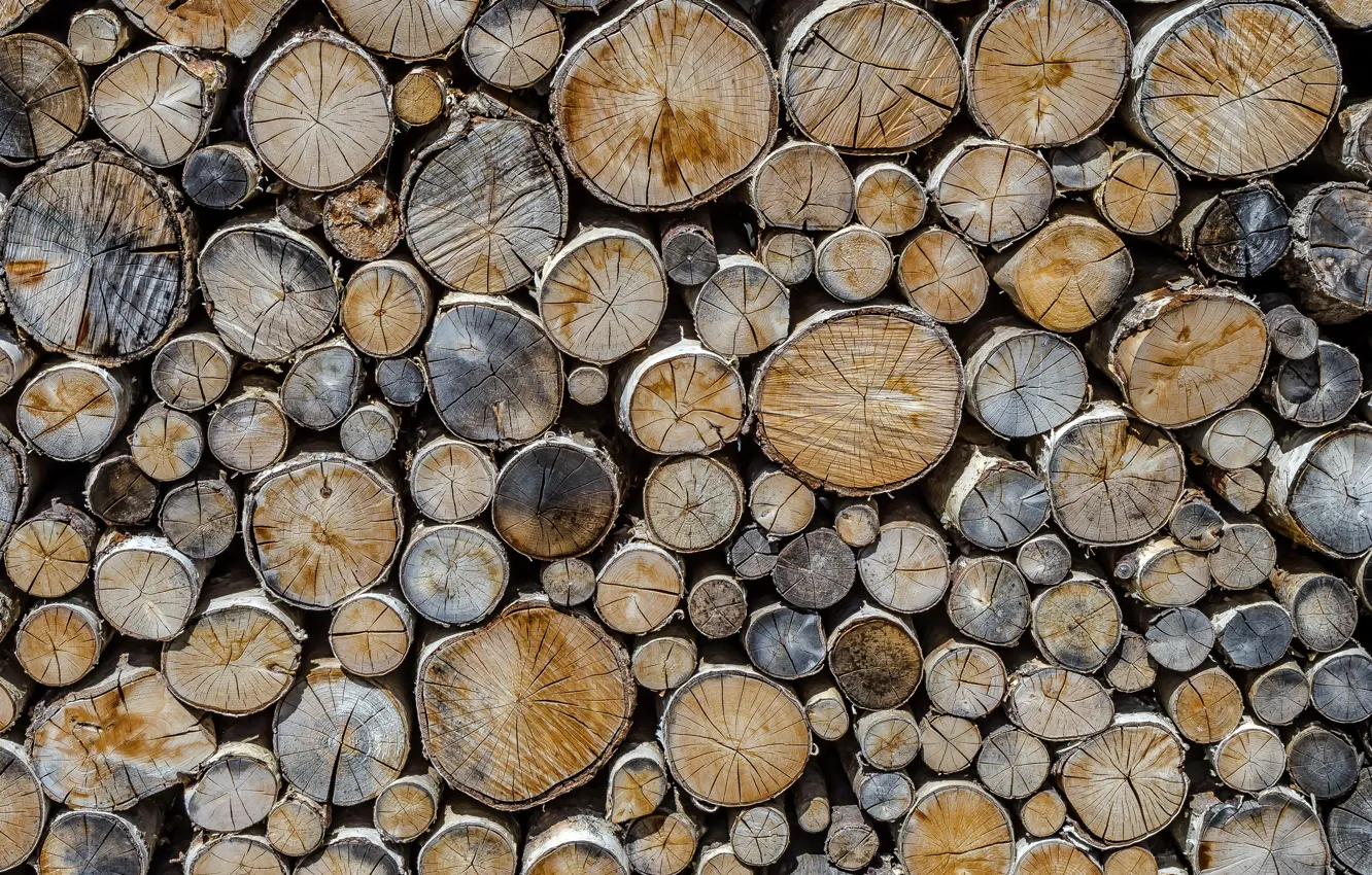 Photo wallpaper background, tree, logs