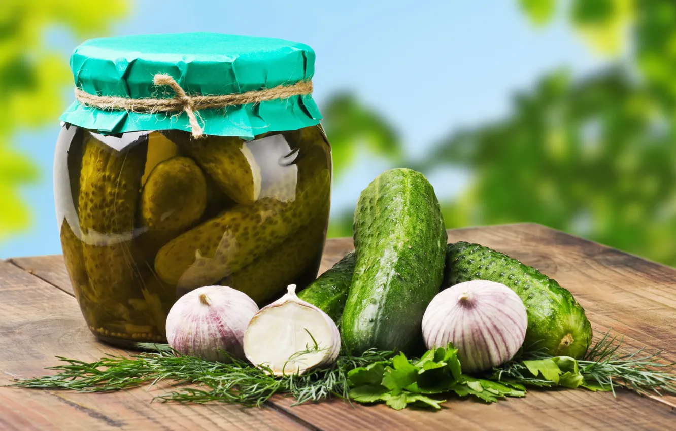 Photo wallpaper greens, cucumbers, spices, koparka