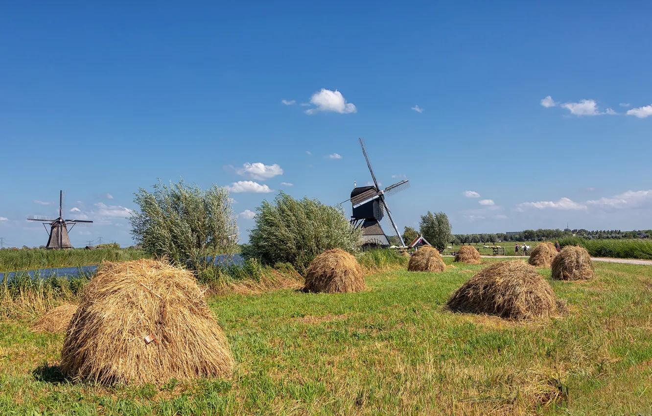 Photo wallpaper summer, hay, channel, Netherlands, windmill