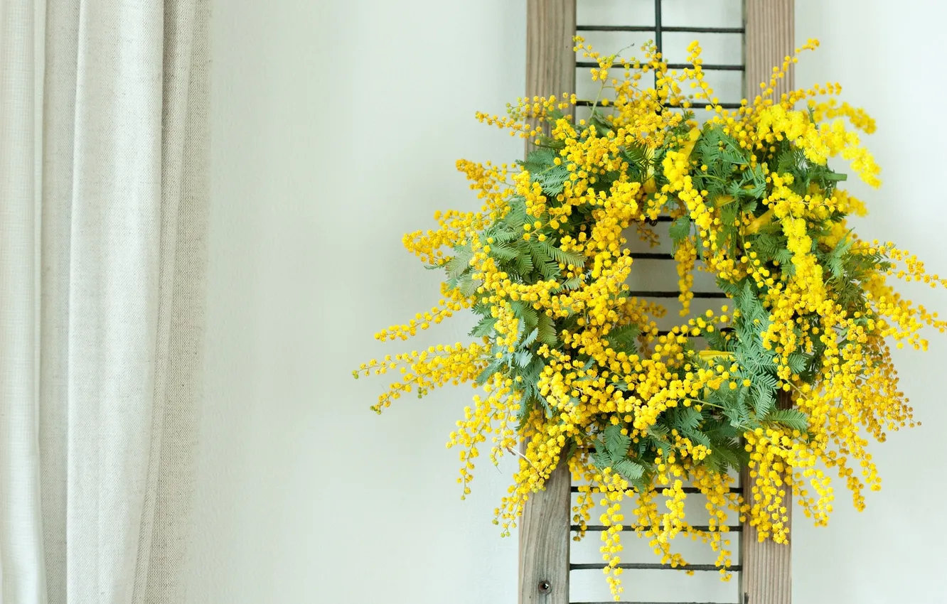 Photo wallpaper wall, wreath, Mimosa