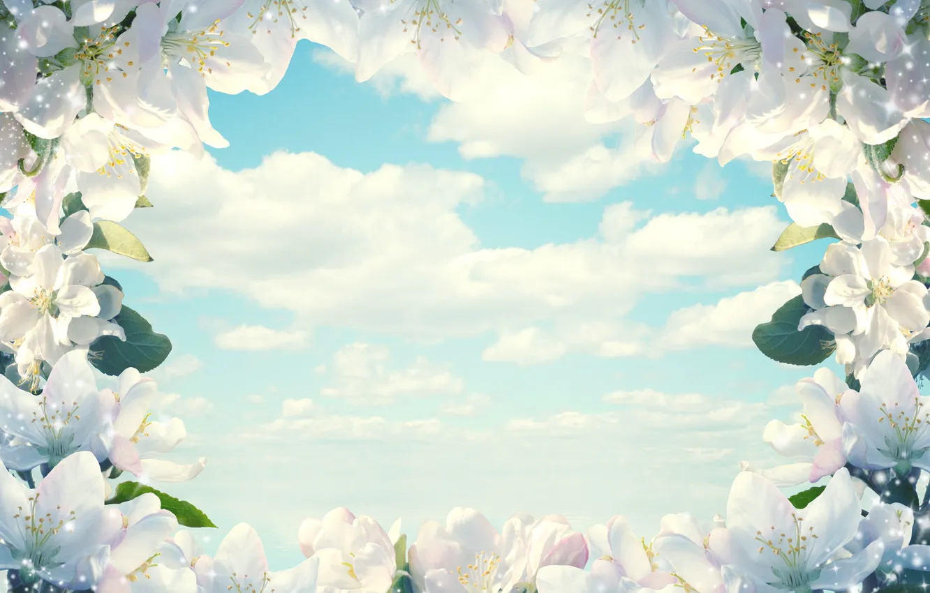 Photo wallpaper the sky, clouds, flowers, spring, frame, Larisa Koshkina