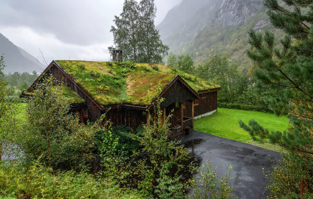 Photo wallpaper road, greens, grass, trees, mountains, clouds, house, rain