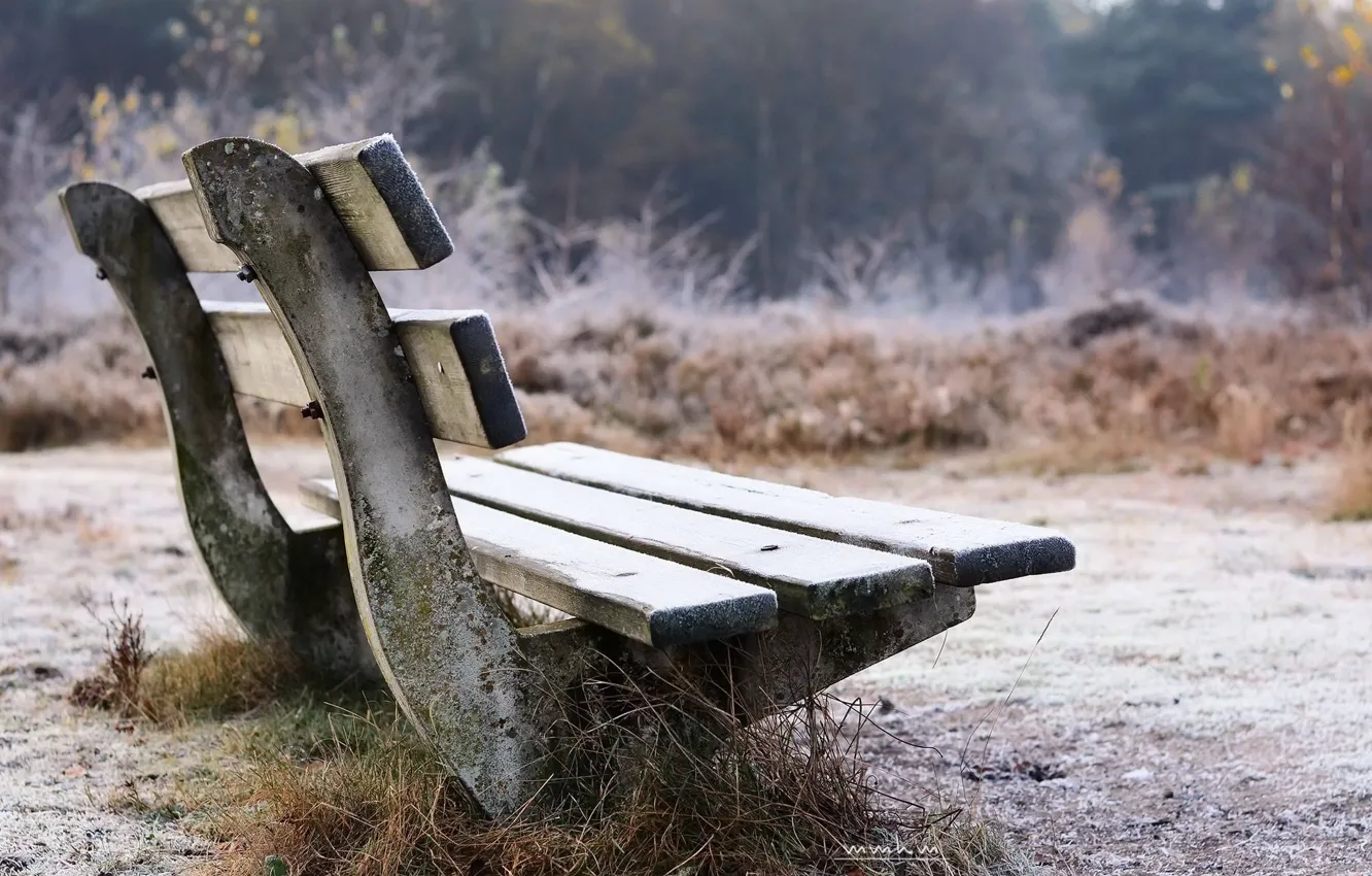 Photo wallpaper frost, autumn, bench