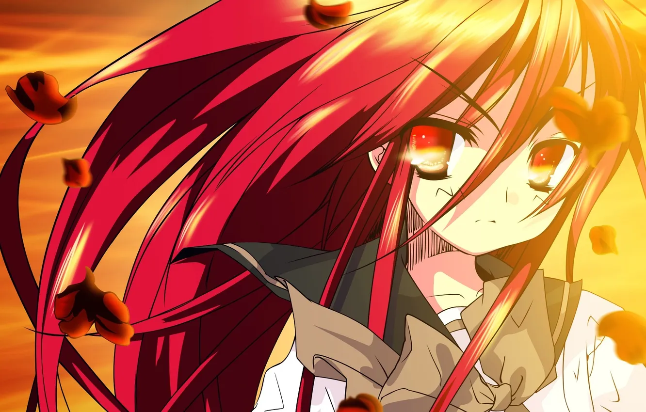 Photo wallpaper girl, anime, petals, art, shakugan no shana, shana, ognelisa Shana