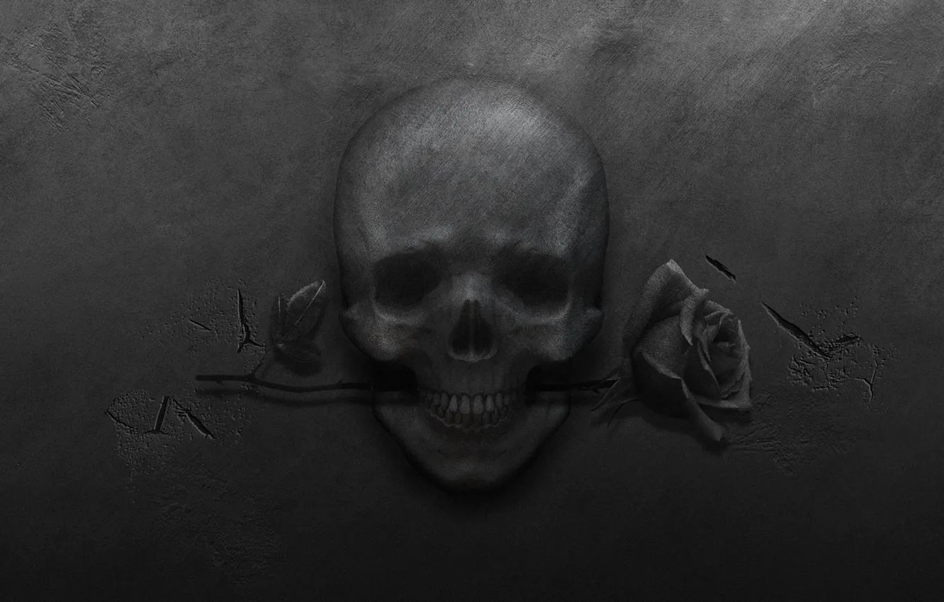 Photo wallpaper metal, cracked, rose, skull, black background