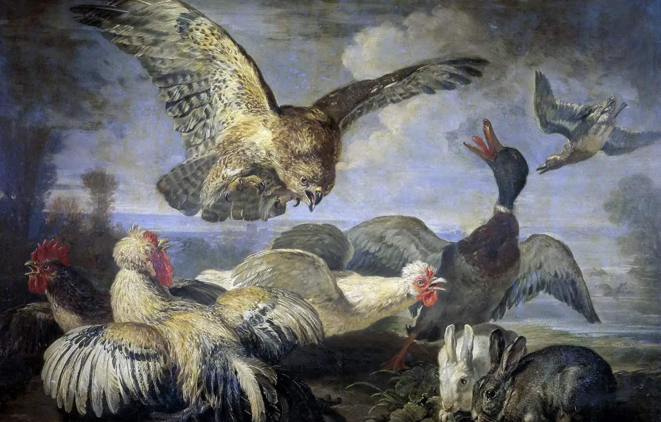 Photo wallpaper animals, birds, picture, rabbit, duck, chickens, Attack Of The Kite, David Koninck