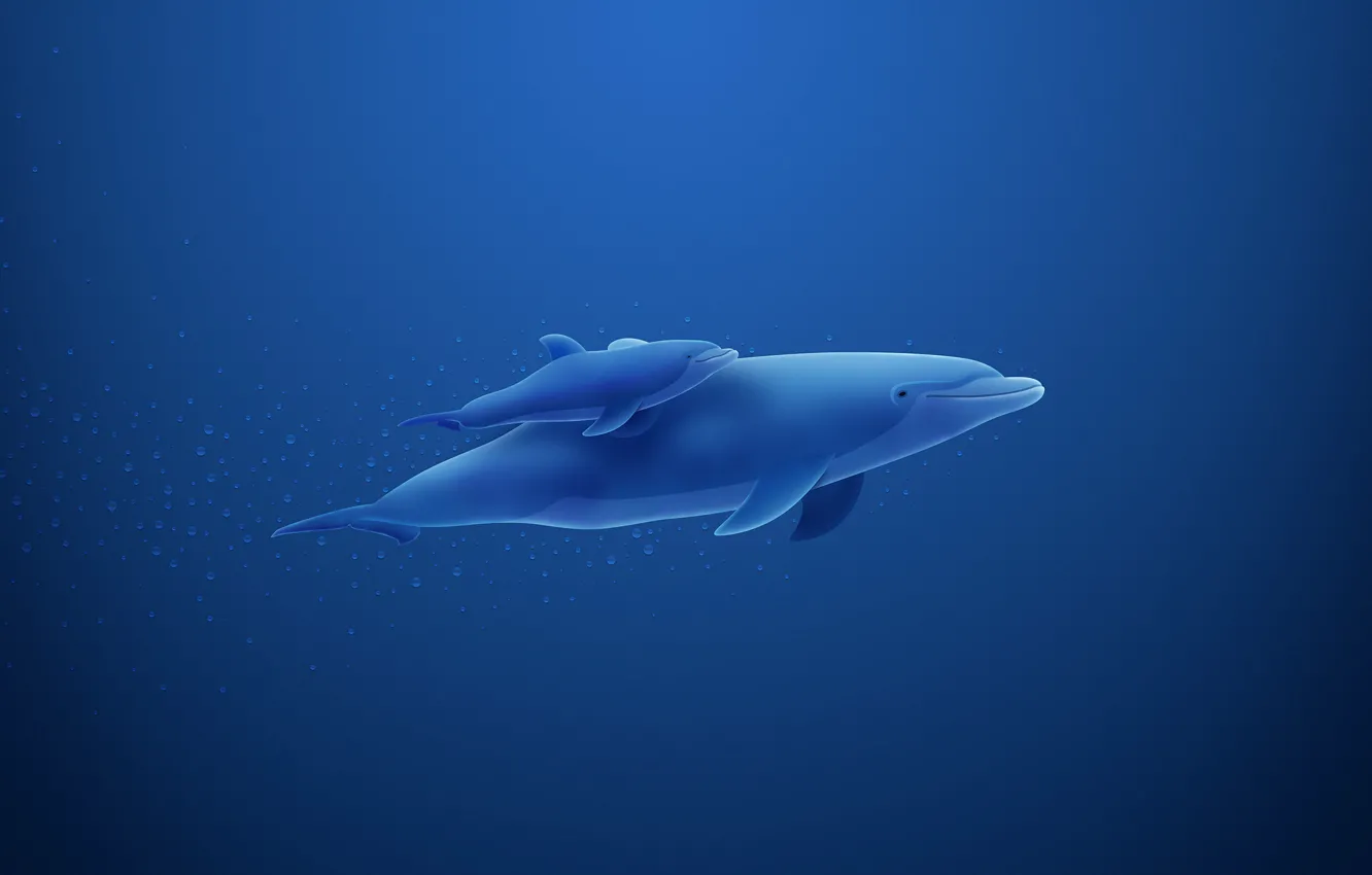 Photo wallpaper blue, Dolphin, bubbles