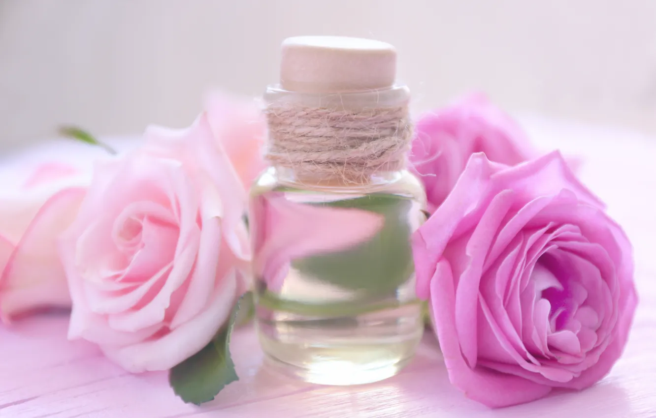 Photo wallpaper perfume, petals, rose, wood, pink, petals, pink roses, spa
